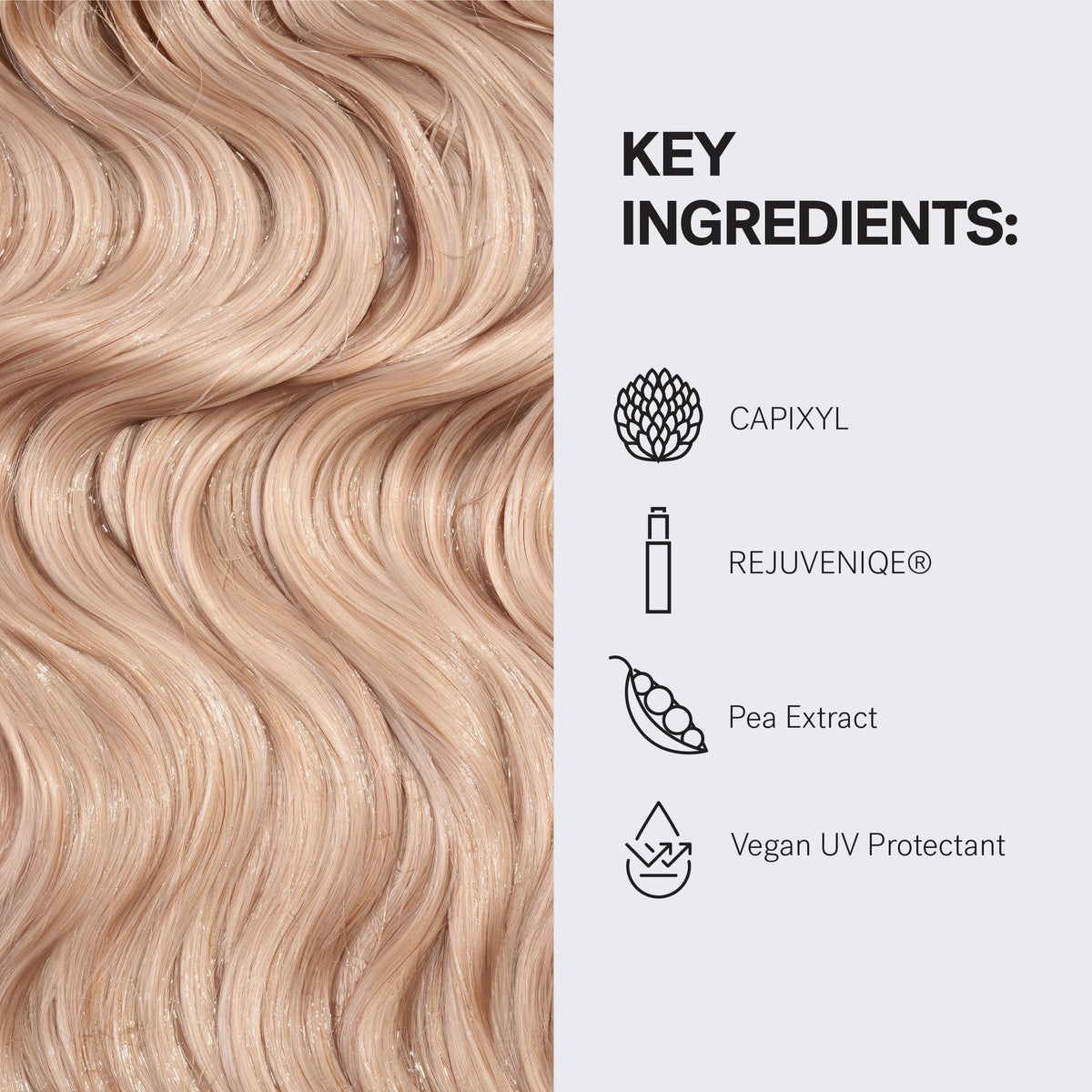 MONAT 237ml size comparison showing scale and portability