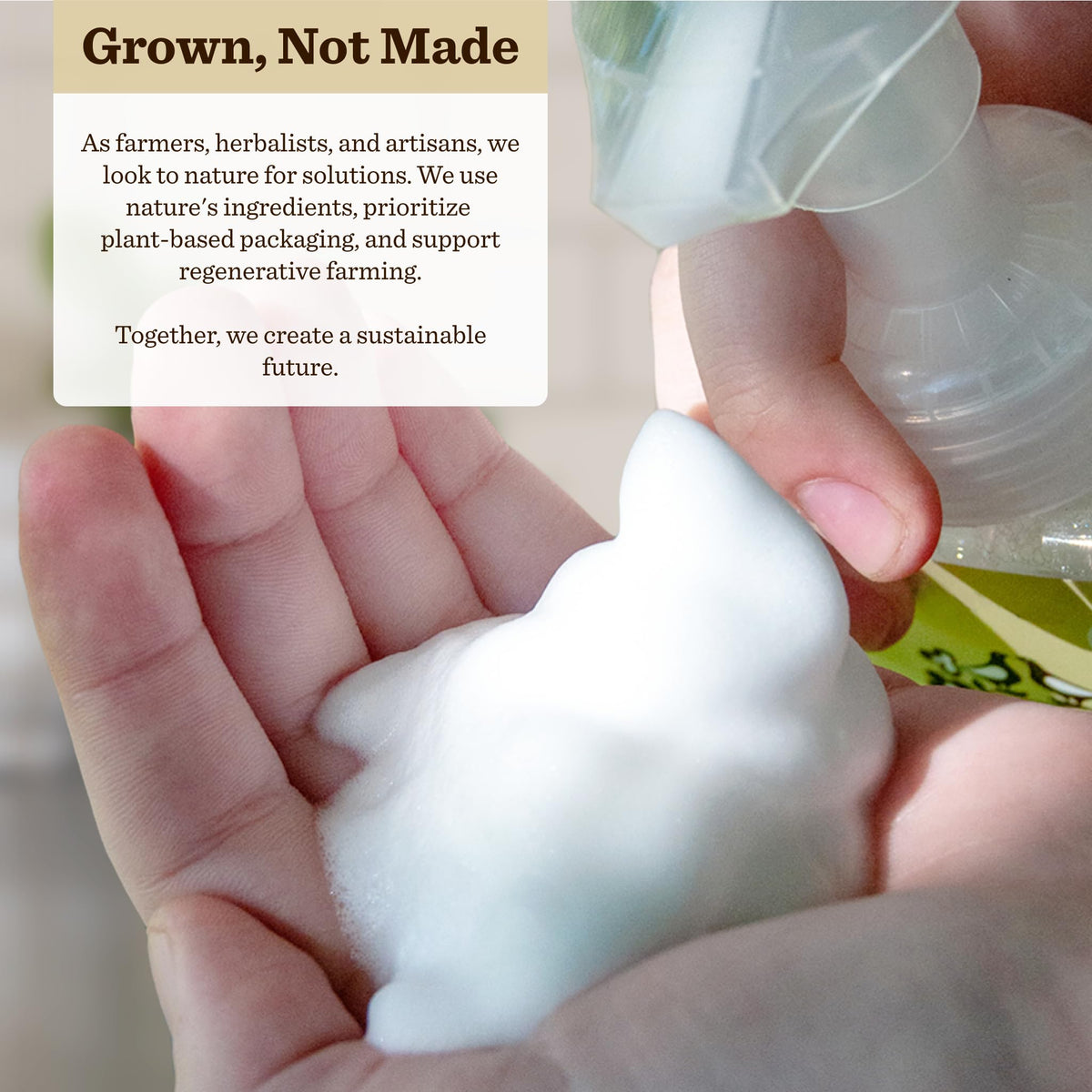 Moon Valley Organics ingredient label highlighting organic vegan ingredients