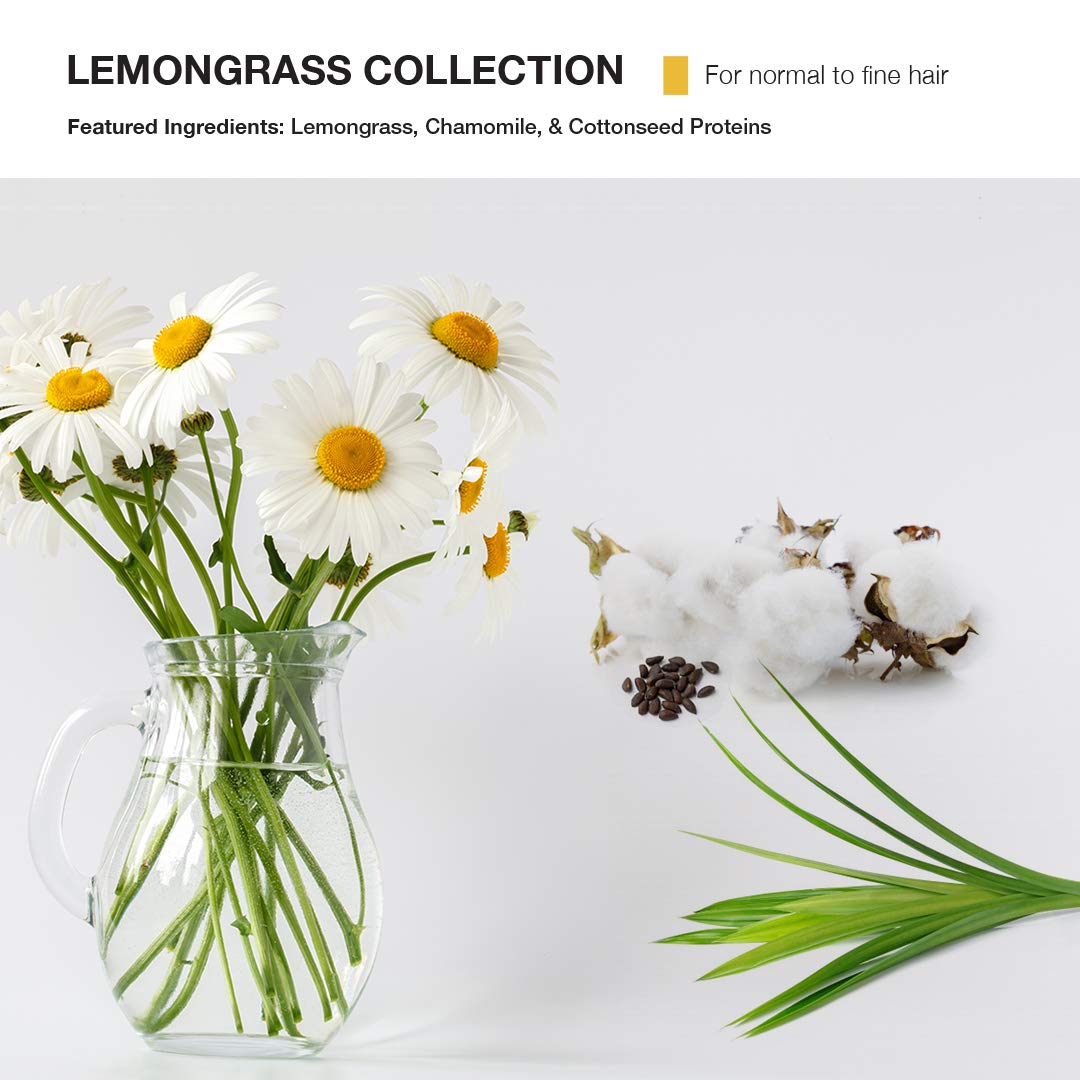 MOP lemongrass lift fine mist close-up showing even root coverage benefit
