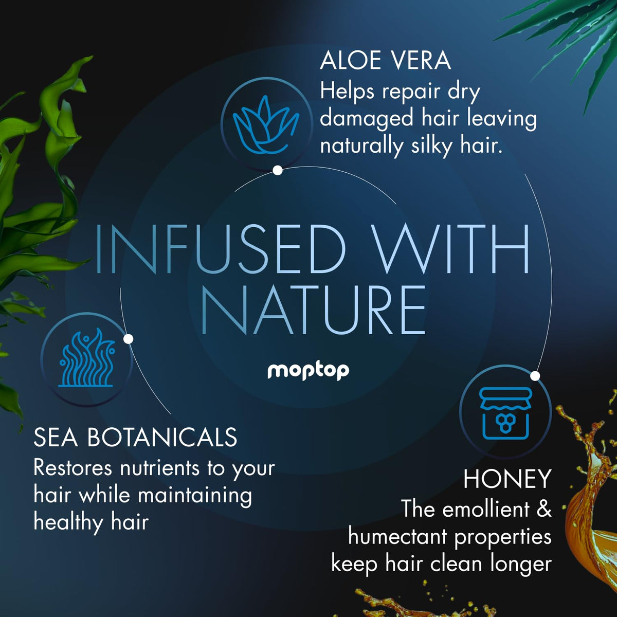 MopTop label close-up highlighting botanical ingredients and clean formula