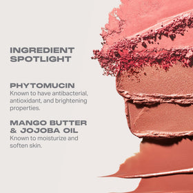 MORPHE velvet powder pan detail highlighting pigmented, blendable color