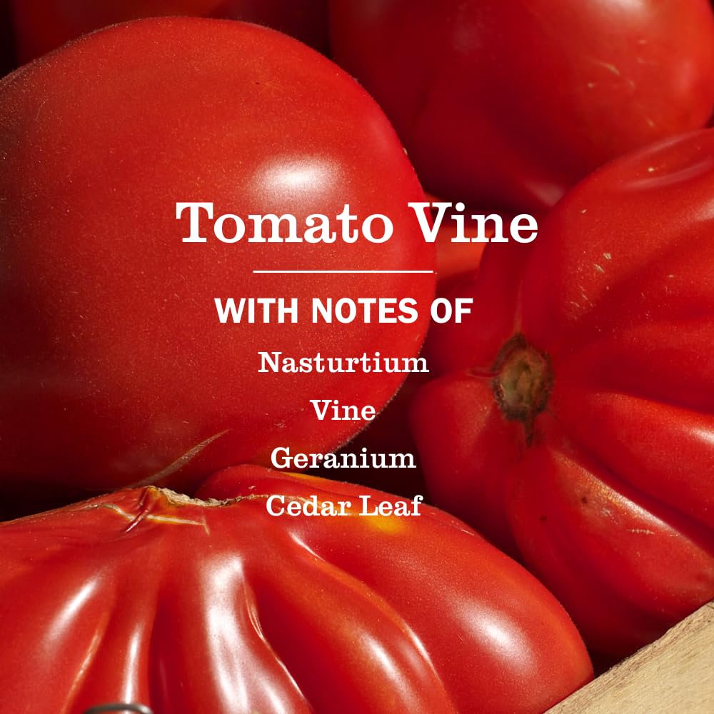 Mrs. MEYER'S bottles next to tomato fruit for scale showing true product sizes benefit