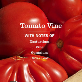 Mrs. MEYER'S bottles next to tomato fruit for scale showing true product sizes benefit