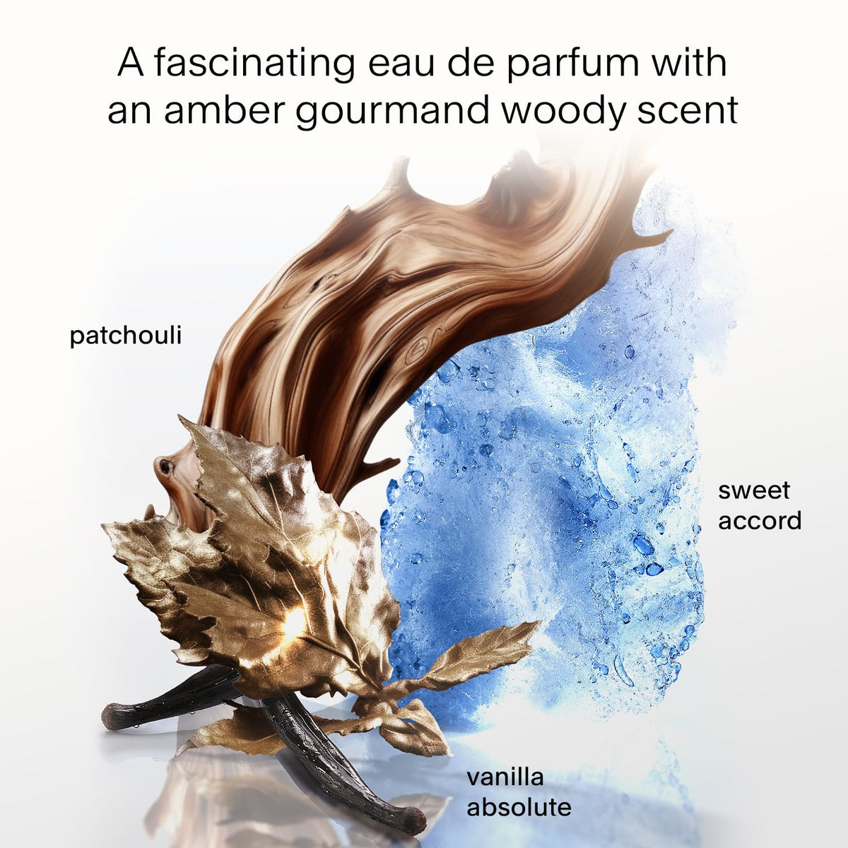 Mugler Angel label close-up highlighting ingredients and scent family clarity