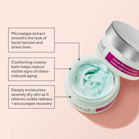 Murad cream on a cosmetic spatula showing thick texture for deep moisture