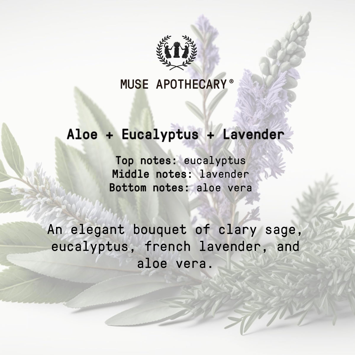 Muse Apothecary gift-boxed presentation ready to give as thoughtful self-care benefit