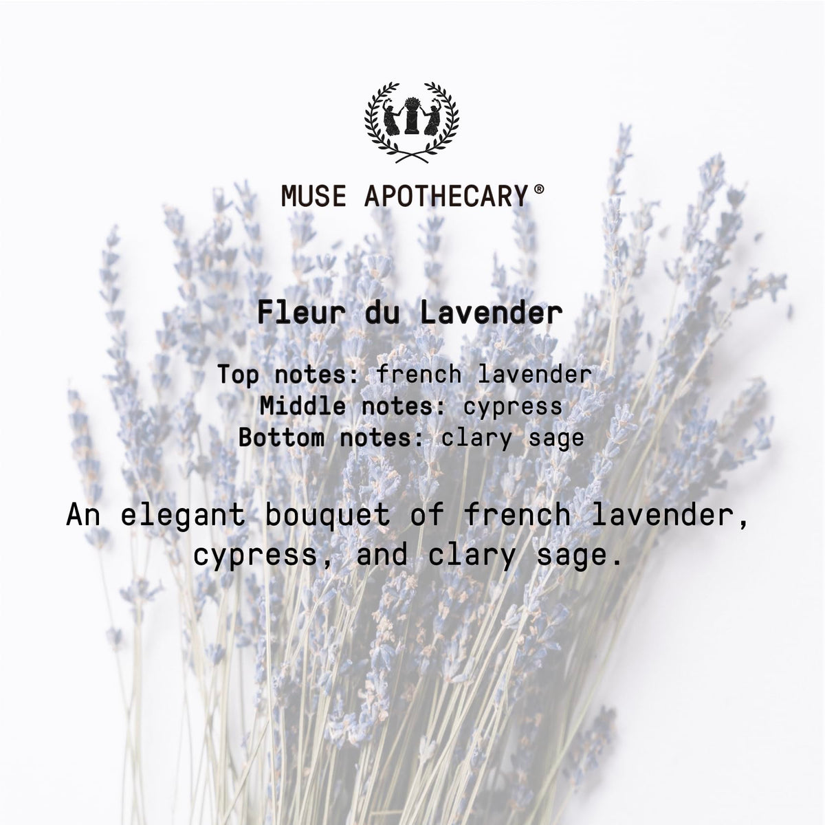 Muse Apothecary botanicals flatlay with ingredients illustrating natural essential oil sources