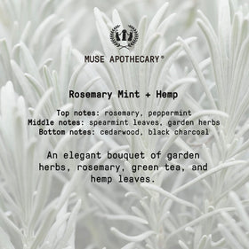 Muse Apothecary 16 oz bottle next to hand showing reliable everyday size