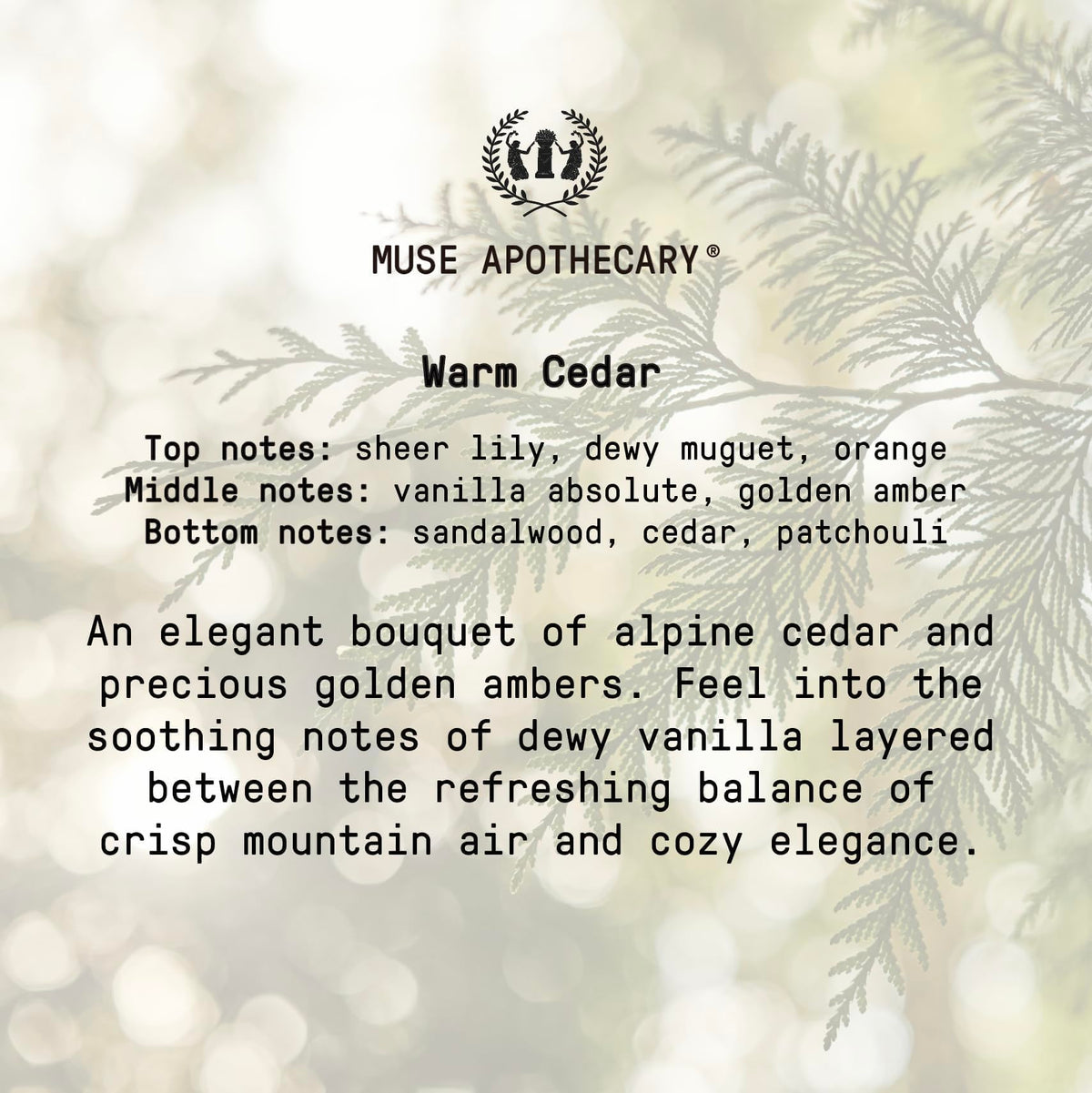 Muse Apothecary two-pack gift presentation with ribbon illustrating ready-to-give appeal