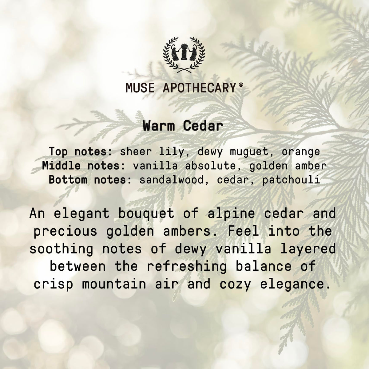 Muse Apothecary pump detail close-up demonstrating easy-dispense convenience
