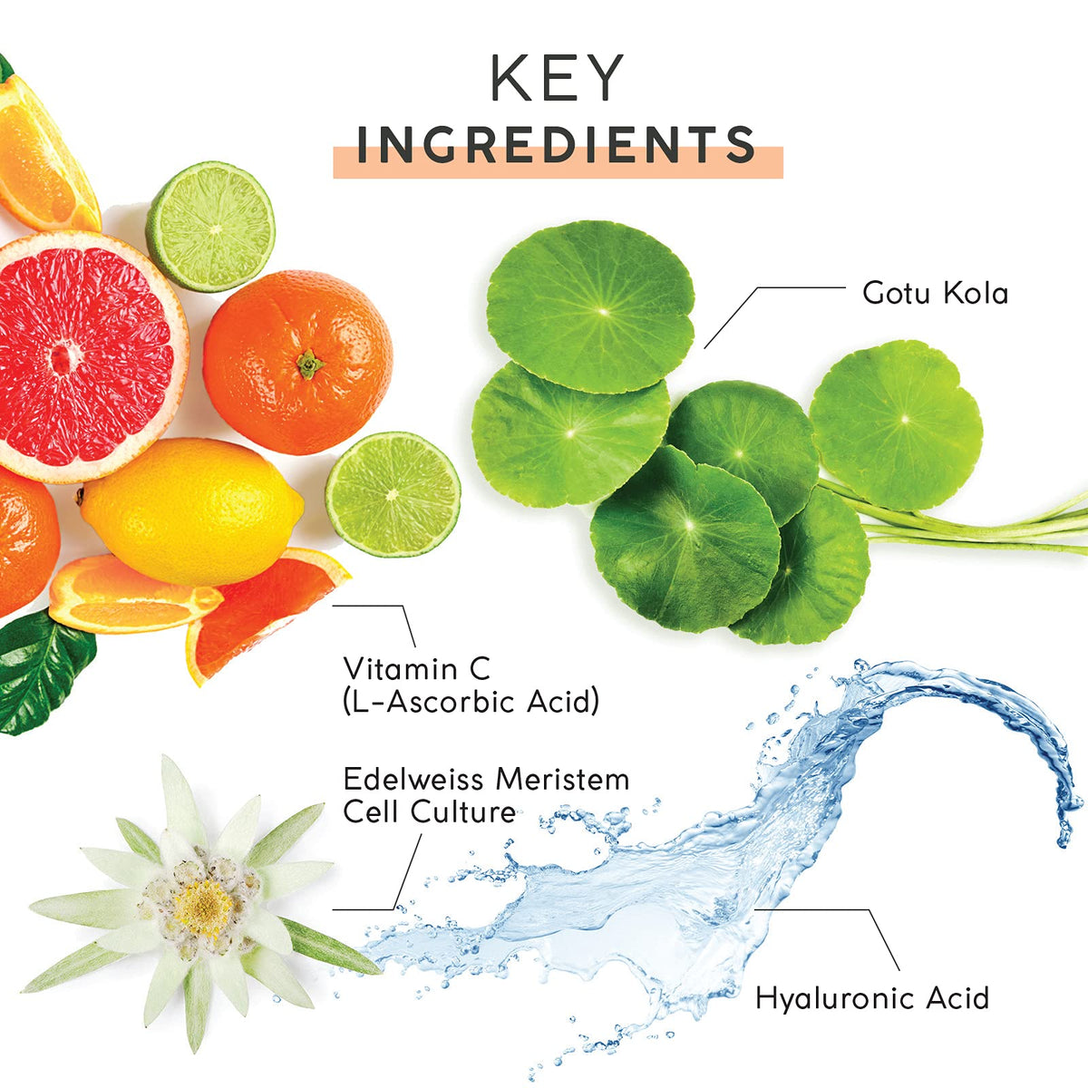 MyChelle ingredient display with plant stem cells suggesting skin support