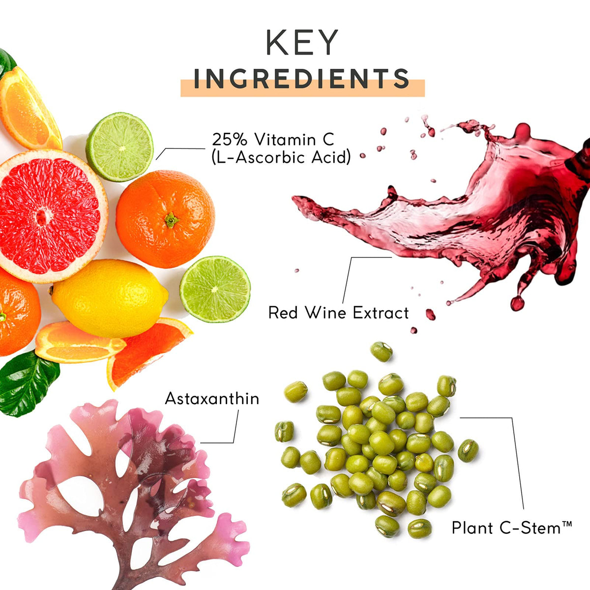 MyChelle Dermaceuticals jar with CoQ10 and red wine extract visuals, conveys antioxidant blend