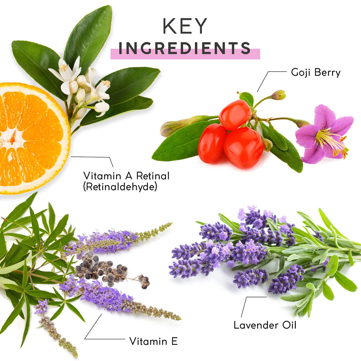MyChelle Dermaceuticals ingredients close-up featuring peptides and monk’s pepper benefits