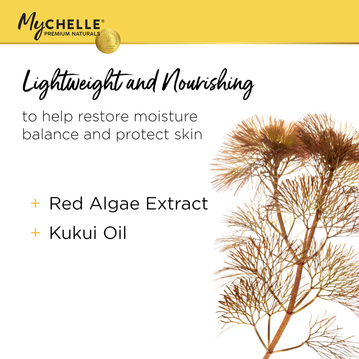 MyCHELLE lotion texture close-up showing lightweight finish and hydration benefit