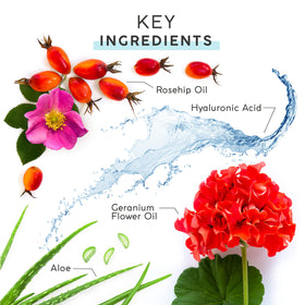 MyChelle ingredients flatlay featuring hyaluronic and rose hip oil benefits