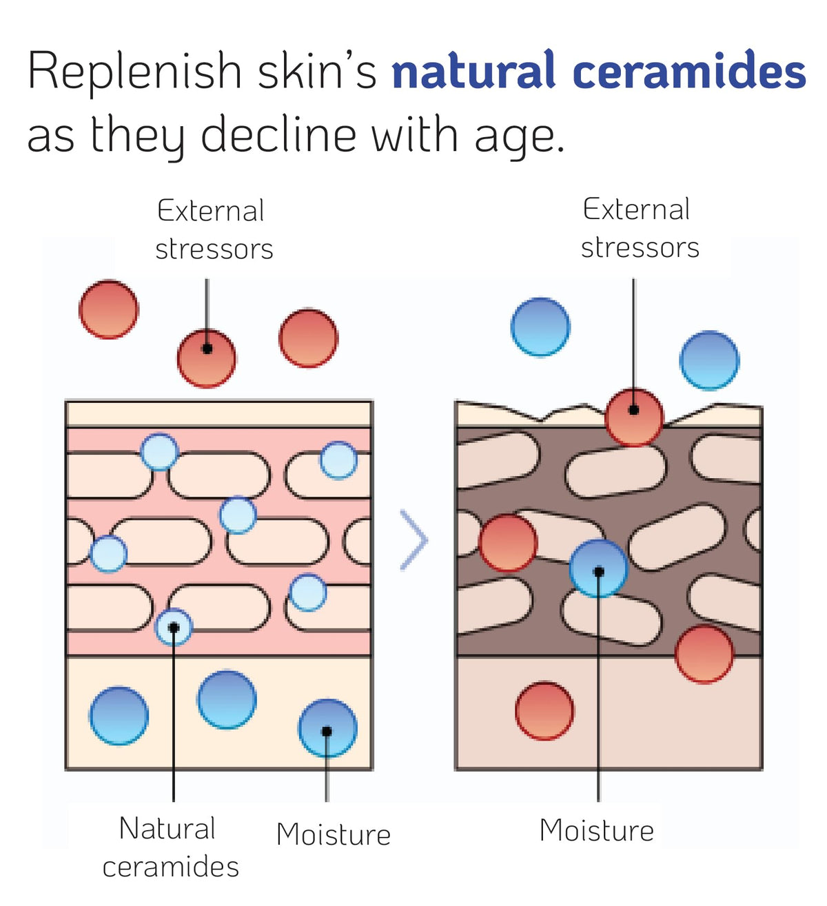 Nano Recipe close-up of the concentrate texture showing thin absorbent finish benefit