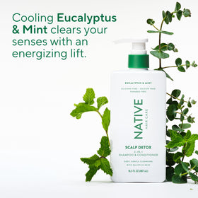 Native eucalyptus and mint ingredients staged, highlights refreshing scent benefit