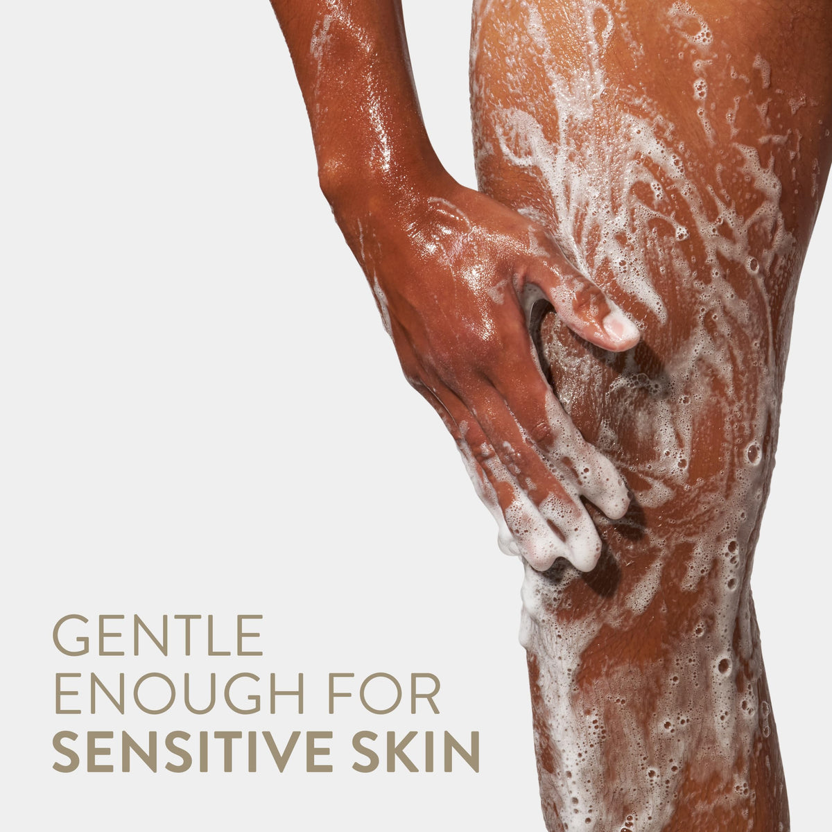 Native scent notes visual combining sandalwood and shea benefit