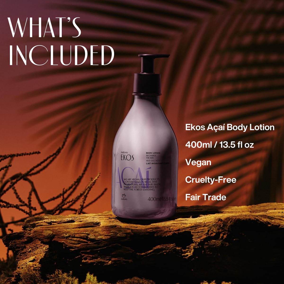 Natura açaí berries ingredient image highlighting antioxidant benefit