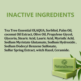 Natura Derm label close-up highlighting tea tree ingredients and claims