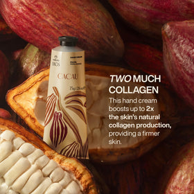 natura Ekos Cacau texture close-up showing creamy cocoa butter formula, highlights fast absorption