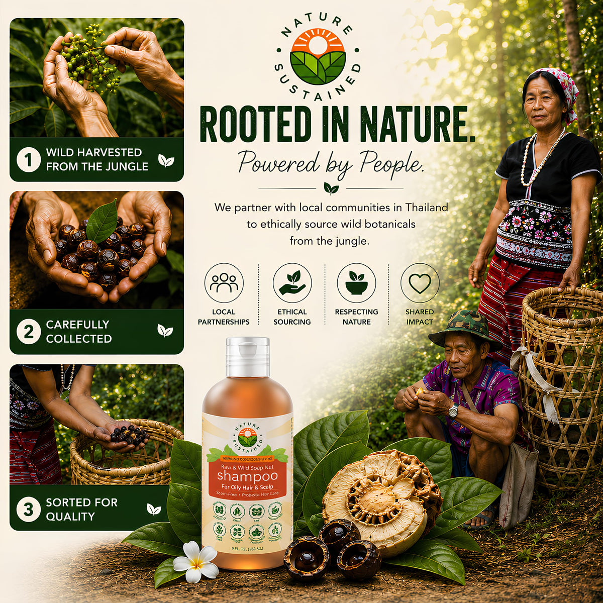 Nature Sustained raw wildcrafted botanicals displayed to highlight natural sourcing