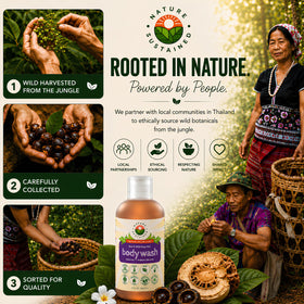 Nature Sustained ingredients flatlay with wild plants showing natural sourcing