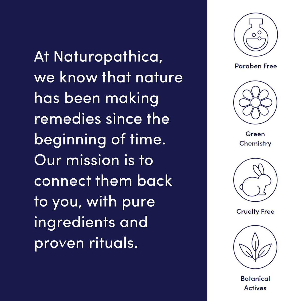 Naturopathica label close-up listing key ingredients, supports informed purchase
