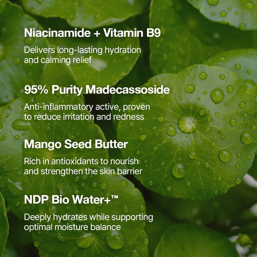 NATURAL DERMA PROJECT used as primer under makeup for smoother pores