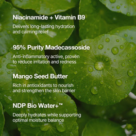 NATURAL DERMA PROJECT used as primer under makeup for smoother pores