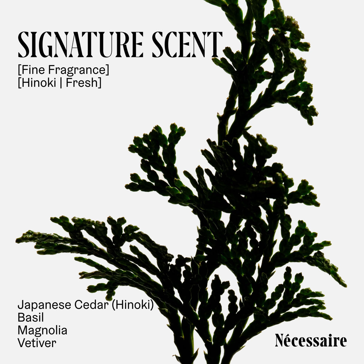 Nécessaire bottle tucked inside a duffel bag demonstrating easy travel portability
