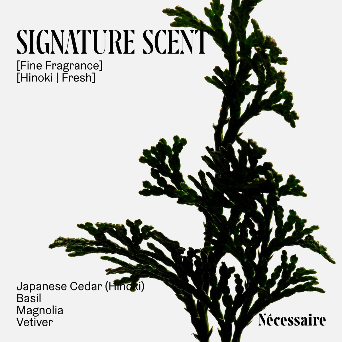 Nécessaire ingredient label close-up showing niacinamide and glycerin benefits
