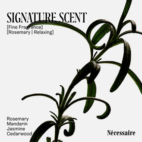 Nécessaire rosemary ingredient close-up showing botanical source and natural benefit