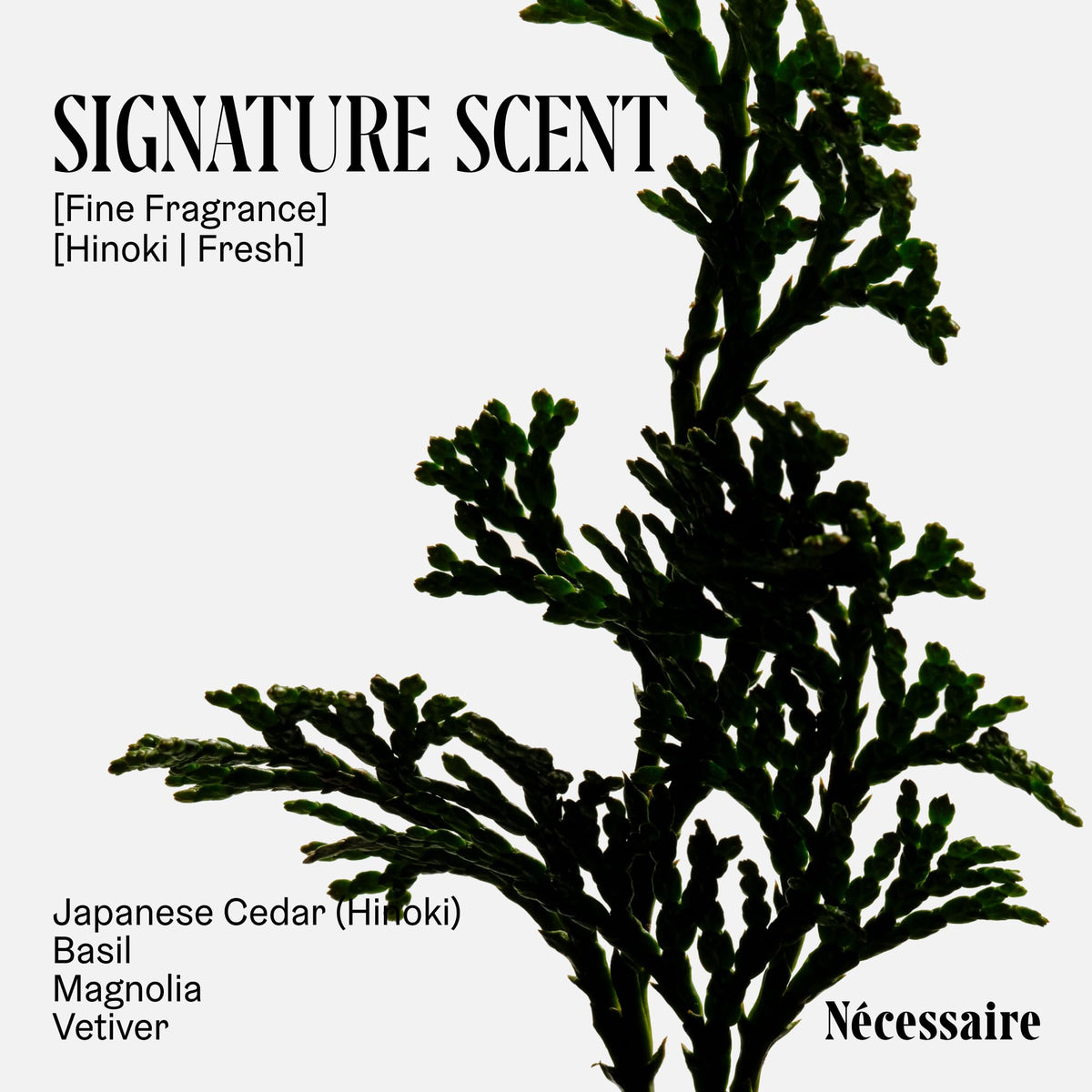Nécessaire bottle held in hand showing 15.2oz scale and value