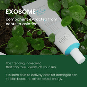 NEOGEN DERMALOGY ingredient label close-up highlighting peptides and hyaluronic acids
