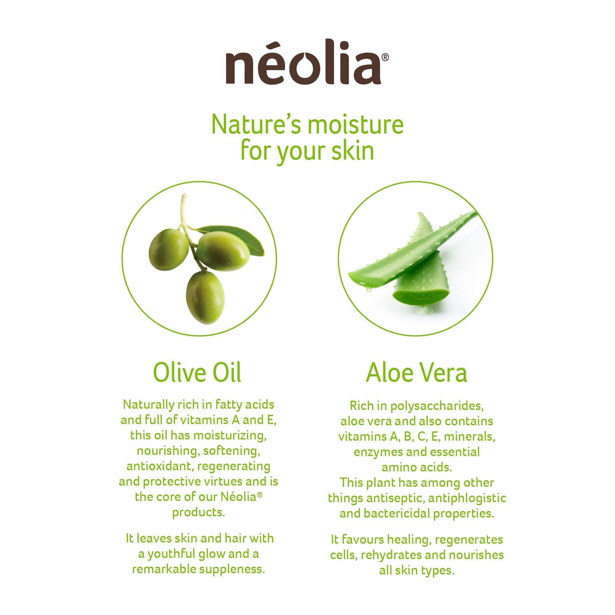 Néolia creamy lather in hand demonstrating gentle cleansing benefit