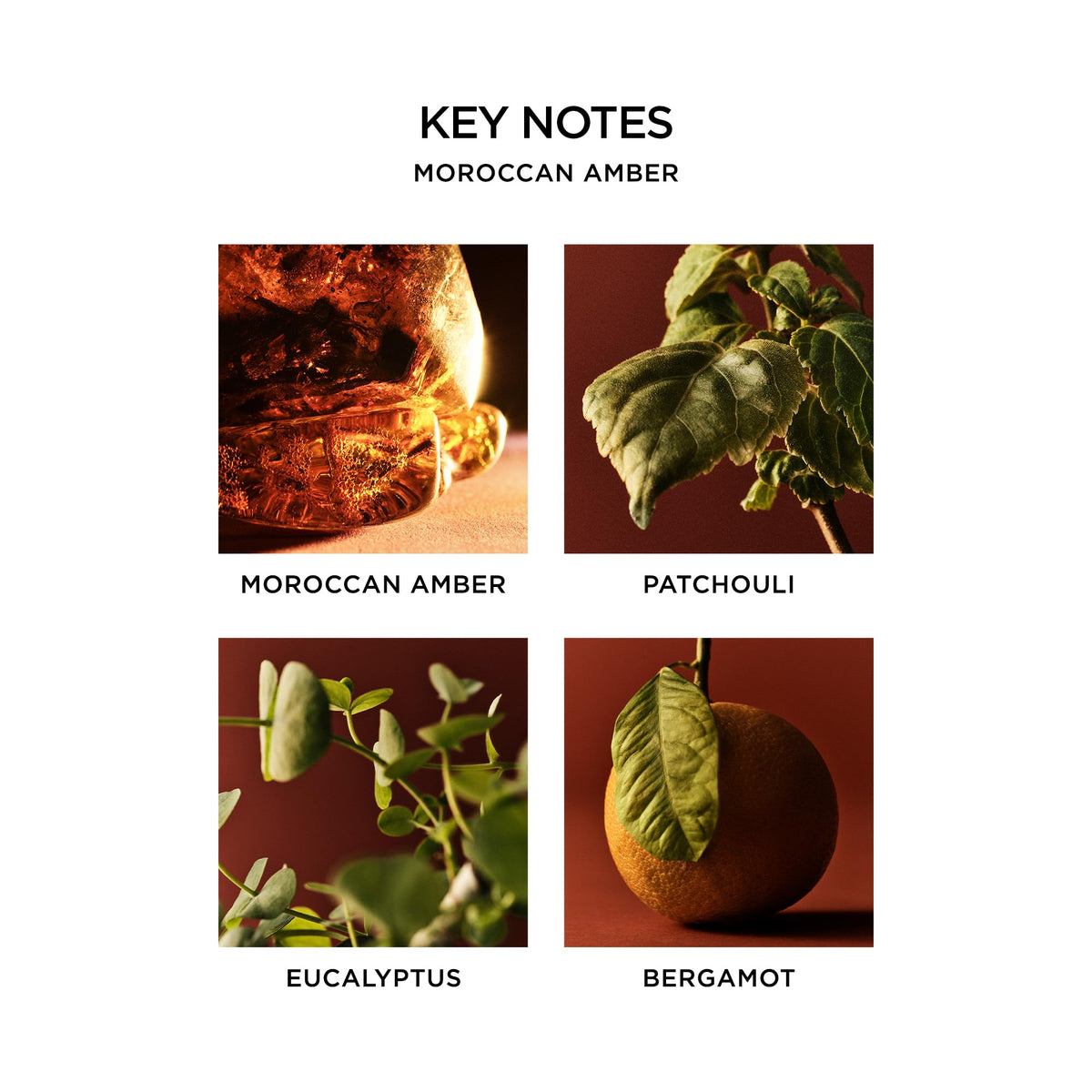 NEST New York label detail highlighting Moroccan Amber scent notes and design