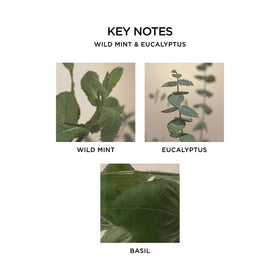 NEST New York label and ingredient panel showing plant extracts and transparency benefit