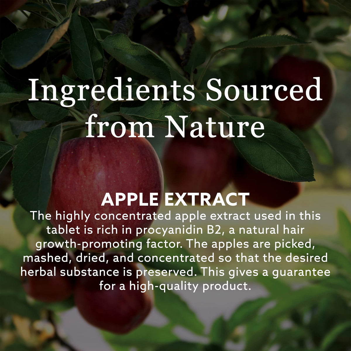 NEW NORDIC ingredients display with millet, horsetail, apple emphasizing natural support