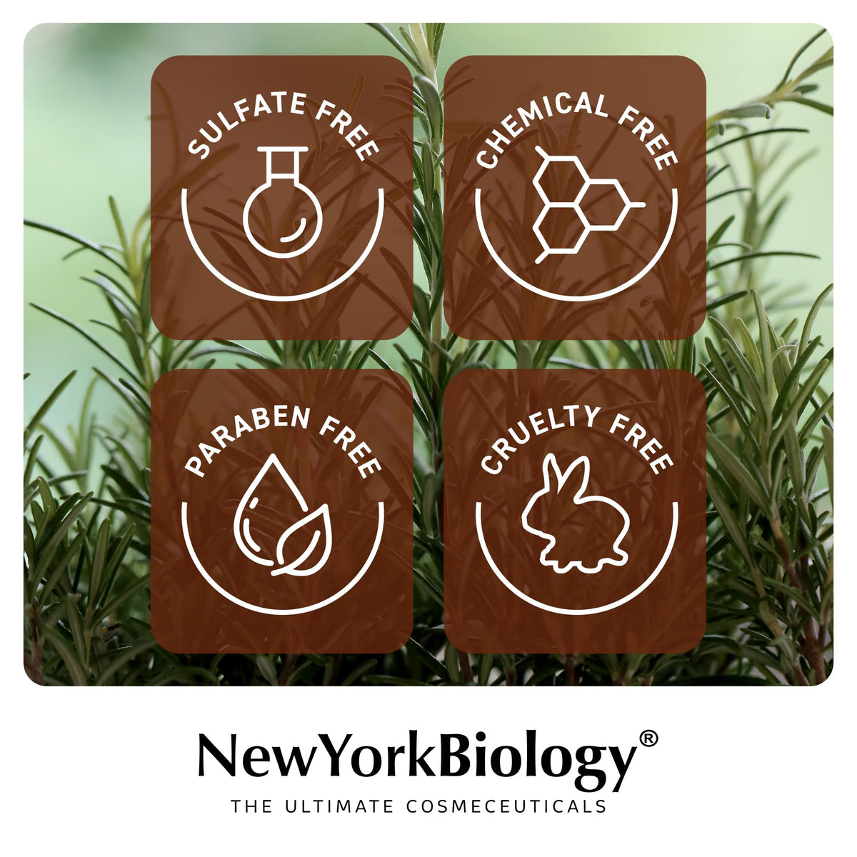 NEW YORK BIOLOGY shampoo in bathroom lifestyle showing styled hair benefit