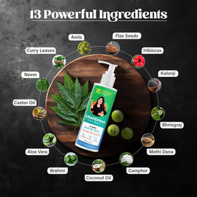 NIDHI’S GRANDMAA SECRET herbs flatlay with amla, curry leaf and aloe vera showing natural potency