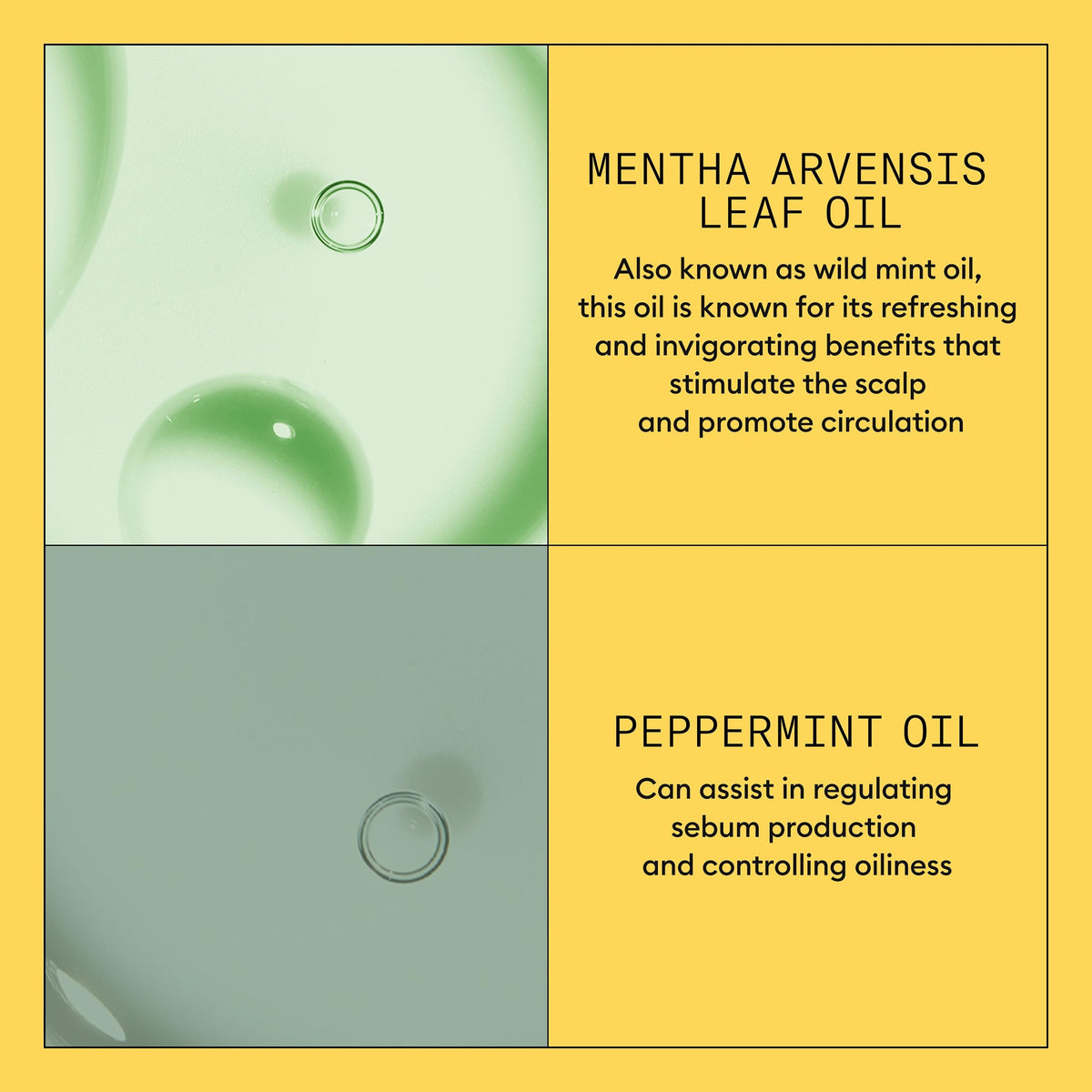 Nioxin back label directions showing recommended daily routine for best results