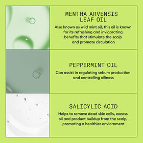 Visual of botanicals and biotin representing Nioxin ingredients that strengthen hair