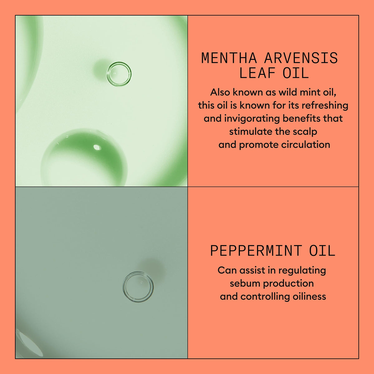 NIOXIN applied to scalp by hand, portrays targeted scalp-focused application