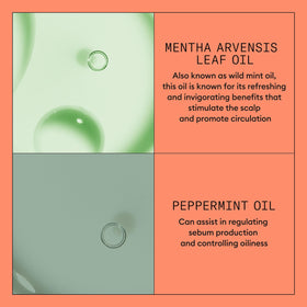 NIOXIN applied to scalp by hand, portrays targeted scalp-focused application