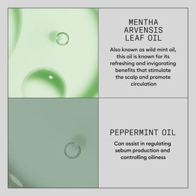 NIOXIN applying booster to receding hairline for focused thinning benefit