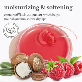 NOONI ingredients flatlay with apples and shea butter showing natural sources