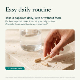 Noophoric capsules in hand showing recommended three-capsule serving