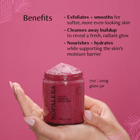 Closeup of hibiscus and nopal cactus highlighting natural botanical benefits