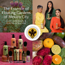 Nopal cactus plant and pads beside Nopalera product, linking source ingredients